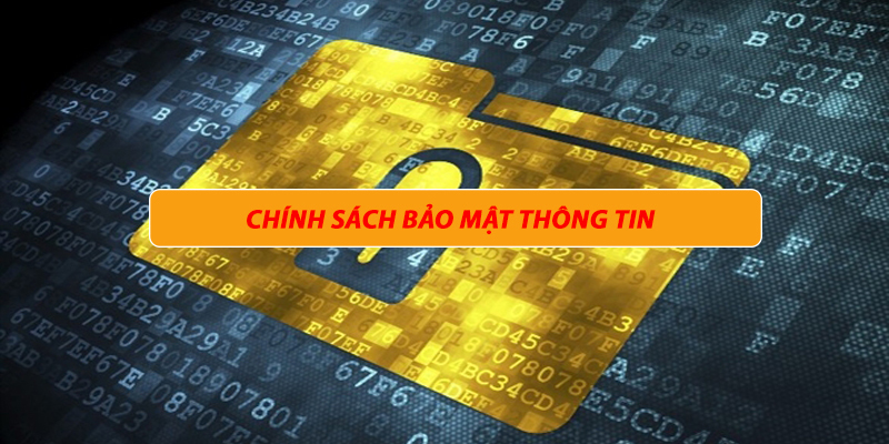 Quyền lợi cùng nghĩa vụ của người chơi đối với chính sách bảo mật