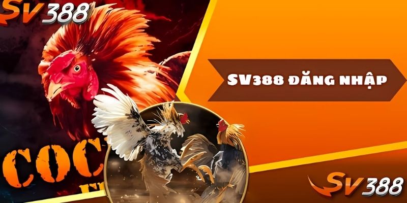 Báo cáo ngay khi phát hiện dấu hiệu truy cập lạ