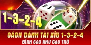 Cách Đánh Tài Xỉu 1 3 2 4