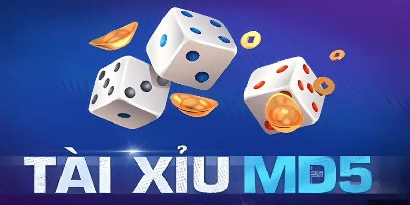 Người chơi cần nắm vững một số thuật ngữ và cách đặt cược cơ bản