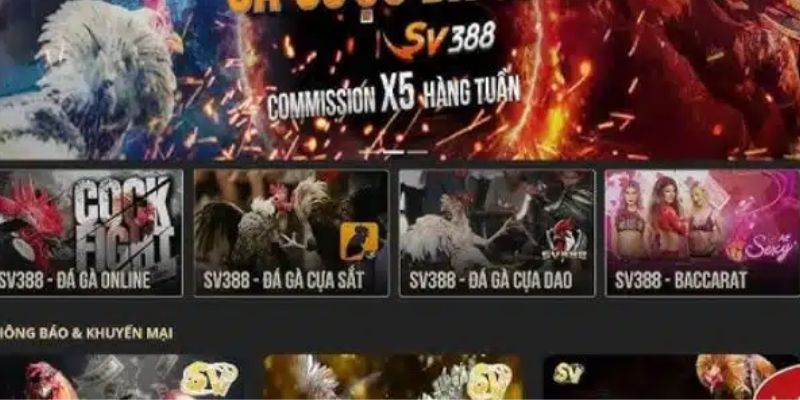 Sảnh đá gà cá cược hấp dẫn