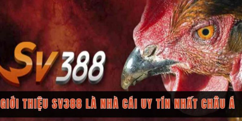 Tổng quan thông tin về sv388